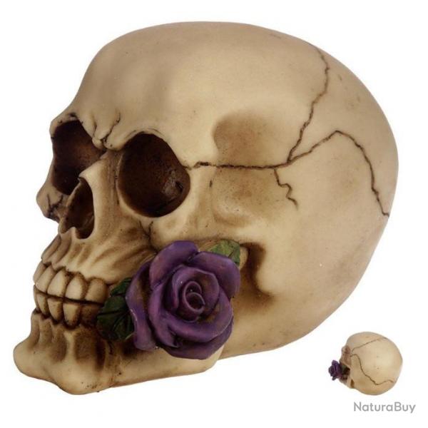 Crne tte de mort avec  Rose Violette