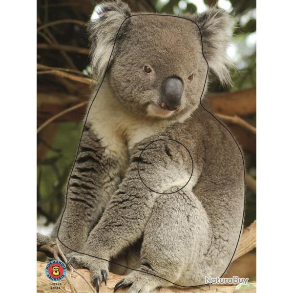 NORMANDIE ARCHERIE - KOALA