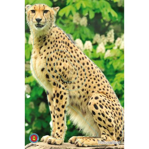 NORMANDIE ARCHERIE - GUEPARD