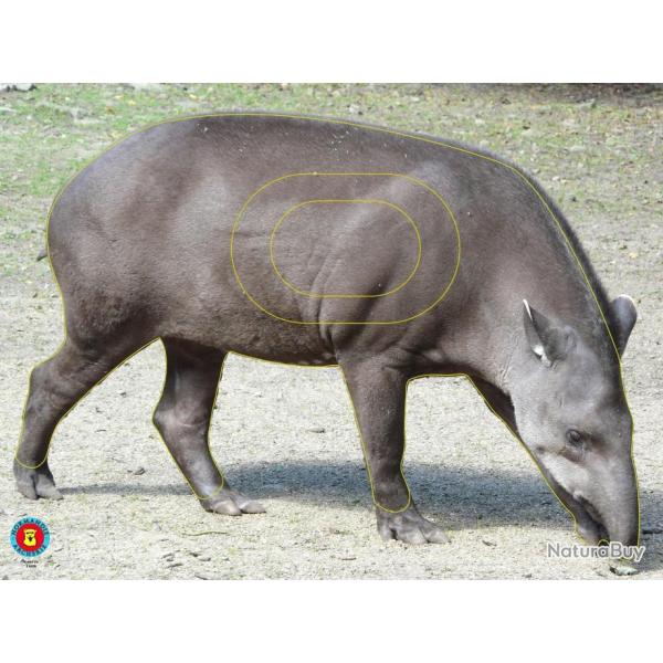 NORMANDIE ARCHERIE - TAPIR