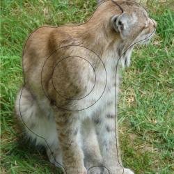 NORMANDIE ARCHERIE - LYNX DE SIBERIE