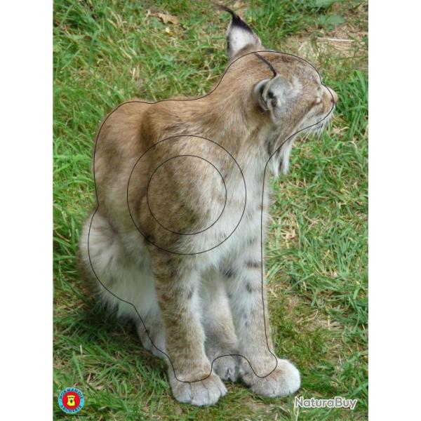 NORMANDIE ARCHERIE - LYNX DE SIBERIE