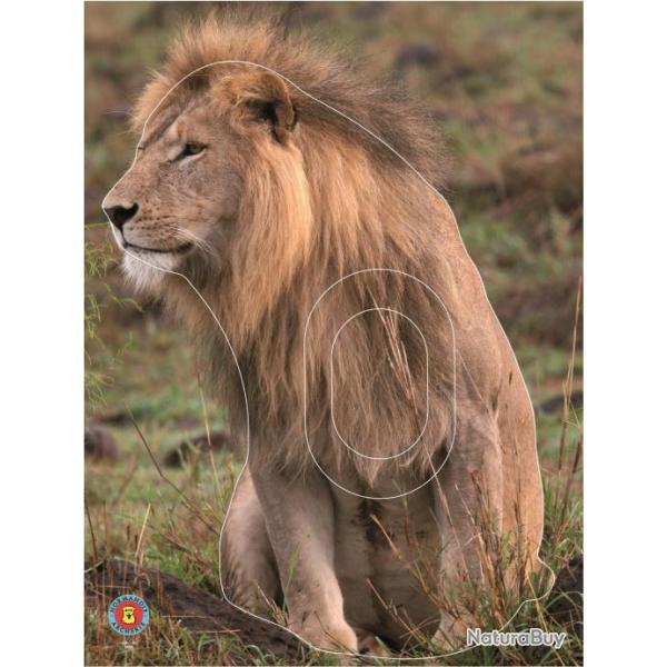 NORMANDIE ARCHERIE - LION