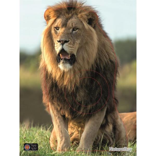 NORMANDIE ARCHERIE - LION