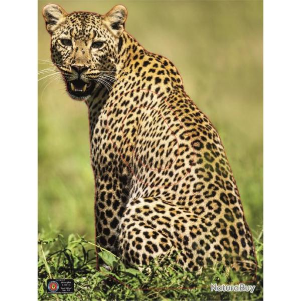 NORMANDIE ARCHERIE - LEOPARD