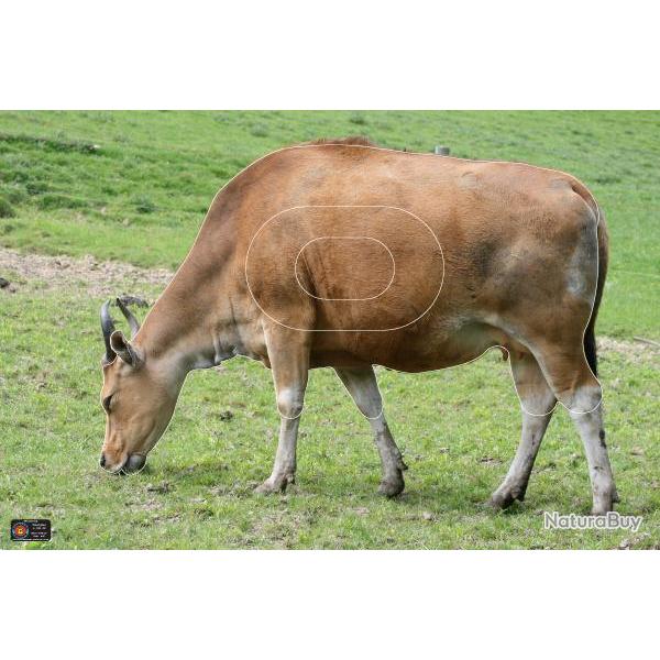 NORMANDIE ARCHERIE - BANTENG