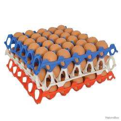 alvéoles à oeufs en plastique empilable