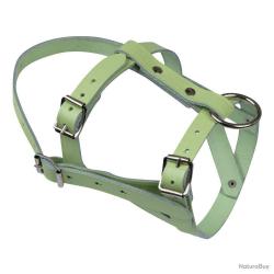 Licol pour mouton ou bélier