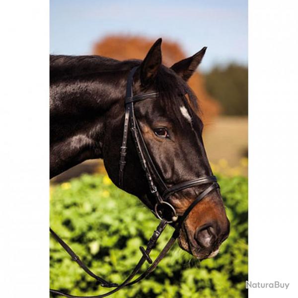Bridon standard cuir noir pour cheval de selle (Taille 4)