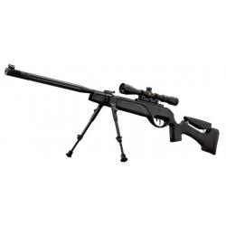 Pack Carabine Gamo HPA IGT 19.9 joules 4.5 mm + lunette 3-9 x 40 WR + bipied