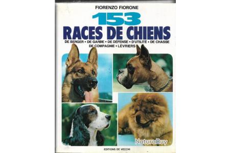 153 Races De Chiens De Berger De Garde De Défense Dutilité De Chasse De Compagnie Lévriers