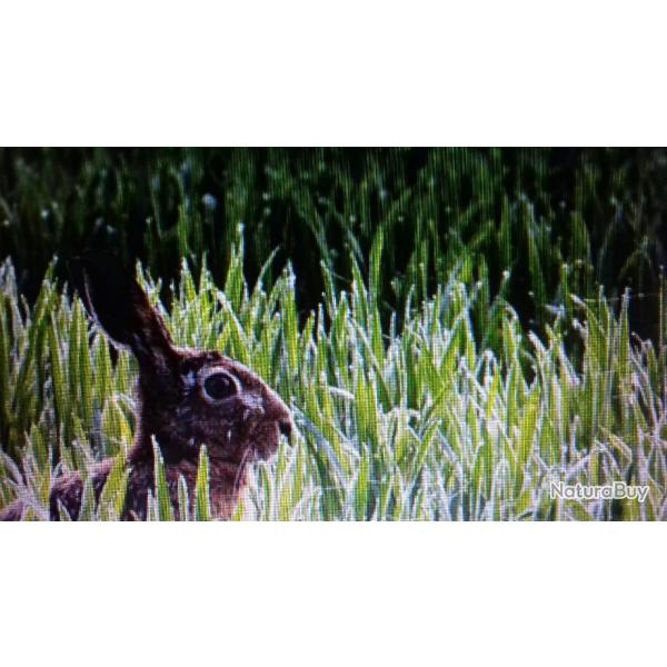 * chasse au petit gibier en individuel  et gros gibiers en battue 77 centre