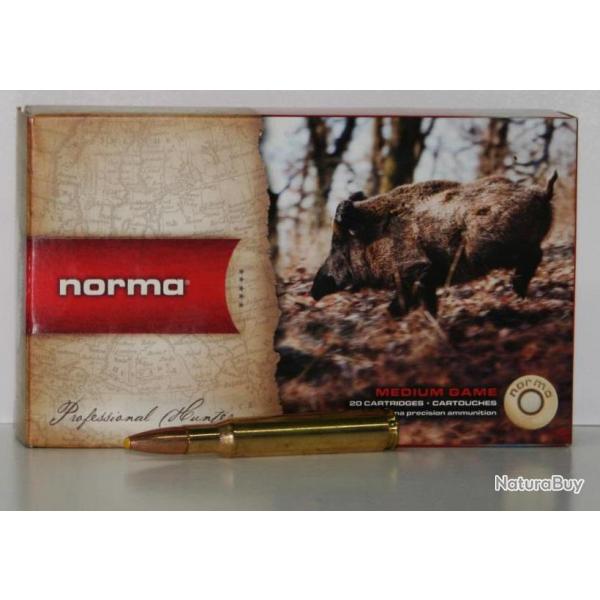 MUNITIONS NORMA PPDC 180GR CAL. 30-06 X20