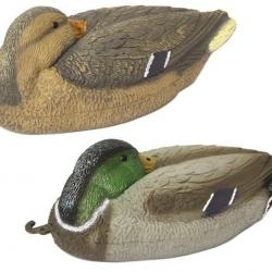 Appelant couple colvert dormeur