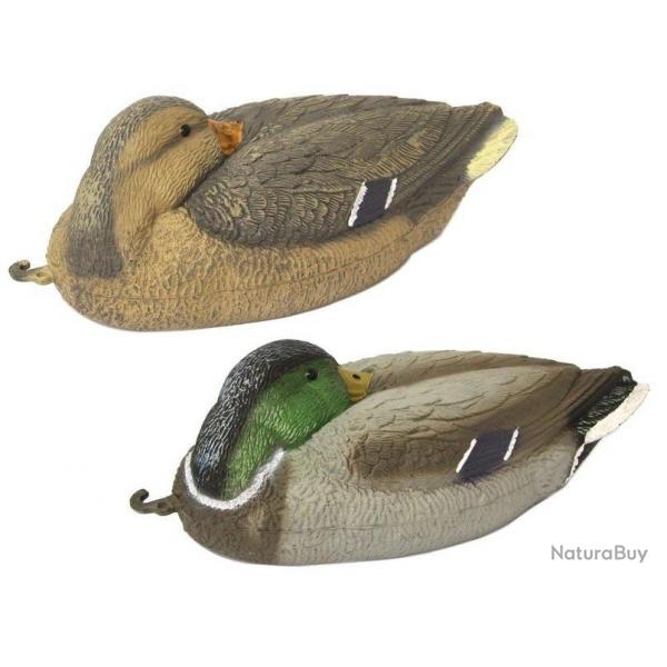 Appelant couple colvert dormeur
