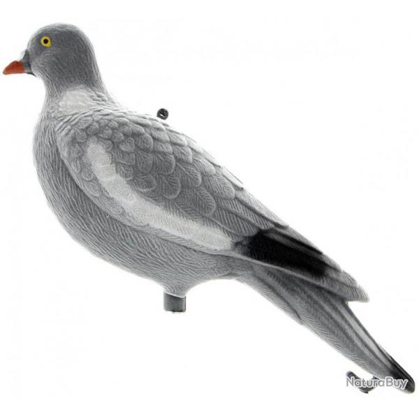 Appelant pigeon sans pattes floqu