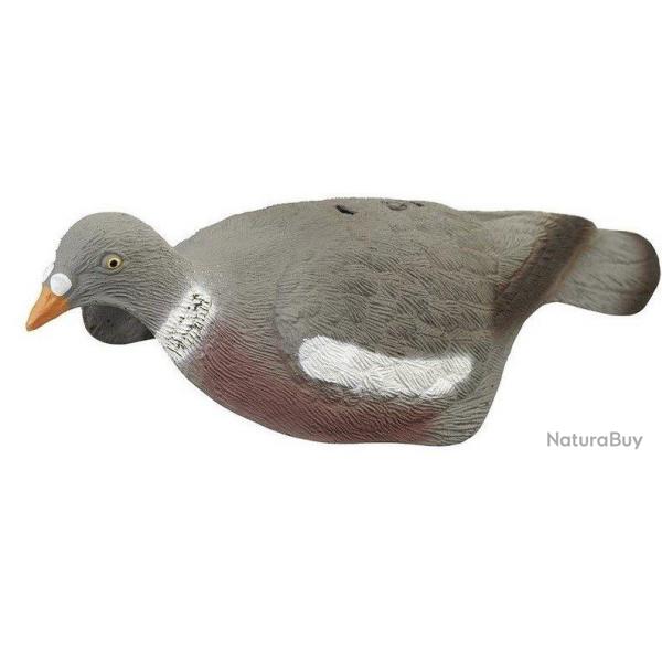 Appelant pigeon coquille (creux)