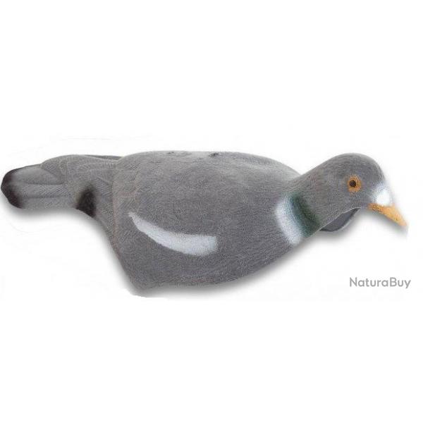 Appelant pigeon coquille (creux) floqu