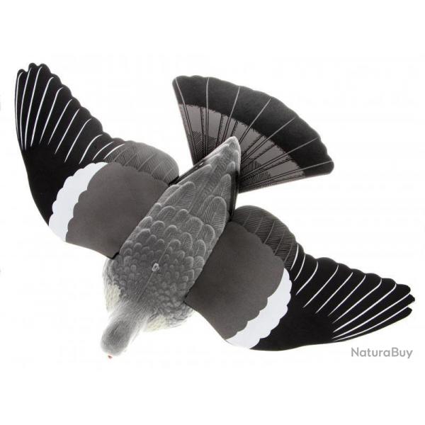 Appelant Pigeon  ailes dployes EVA