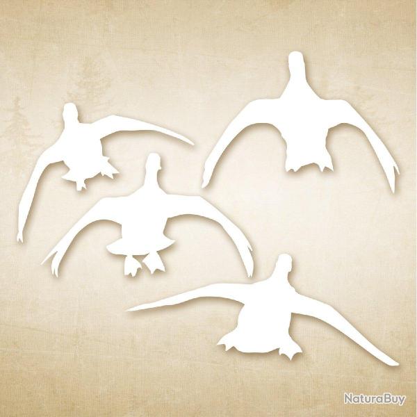 Autocollant chasse Canards  la pose