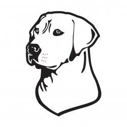 Autocollant chien chasse Labrador