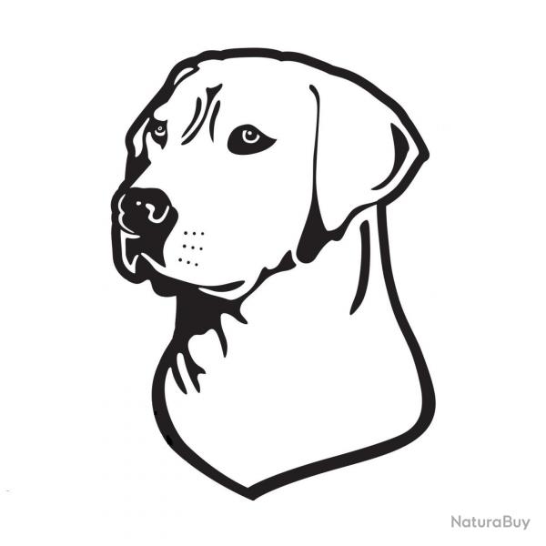 Autocollant chien chasse Labrador