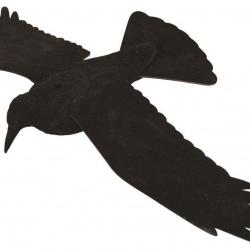 Appelant corbeau à ailes déployées EVA