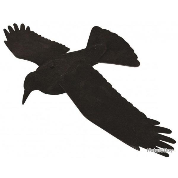 Appelant corbeau  ailes dployes EVA