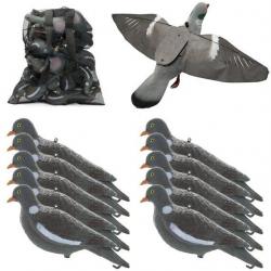 Pack Pigeon First