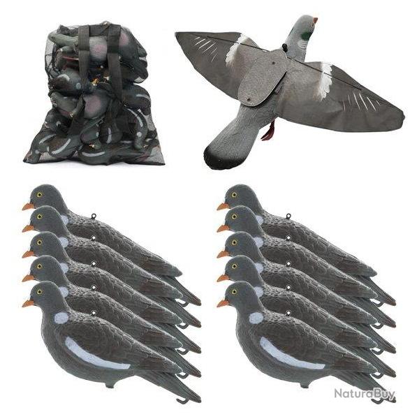 Pack Pigeon First