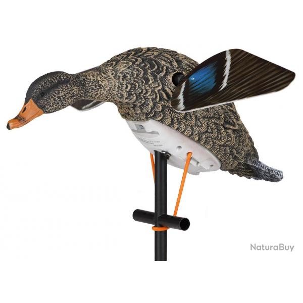 Appelant colvert femelle à ailes tournantes électriques Lucky HD LUCKY DUCK