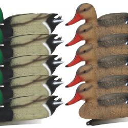 Pack 10 appelants canard colvert mâle et femelle