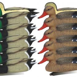 Pack 10 appelants canards colverts moussés mâle et femelle
