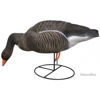 Appelant oie cendrée au gagnage HD à pattes - Formes ...