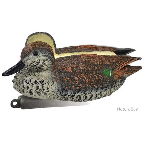 Appelant canard sarcelle femelle mouss