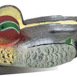 Appelant canard sarcelle mâle moussé
