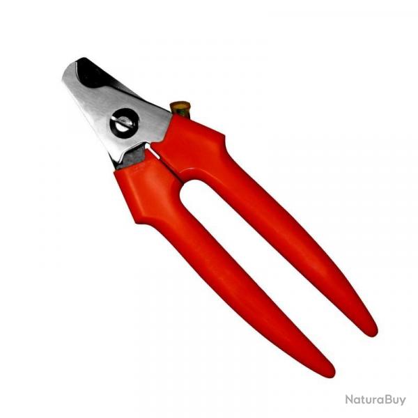 Pince  ongles pour chiens