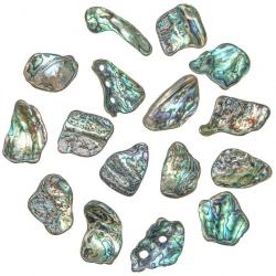 Eclats de nacre abalone paua - 3 à 4 cm - Lot de 5