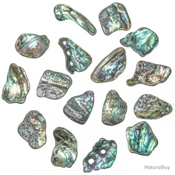 Eclats de nacre abalone paua - 3  4 cm - Lot de 5