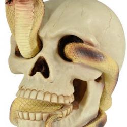 Crâne tête de mort avec  SERPENT mêlé