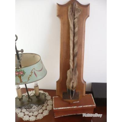 Trophée De Chasse - Pied D'Honneur Cerf - Équipage Malamort - 2002 - Taxidermie