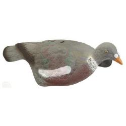 Forme pigeon Anglais (demi-coque)