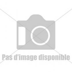 Serrure de rechange pour armoire forte Infac / Fortify