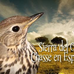 Chasse en Espagne