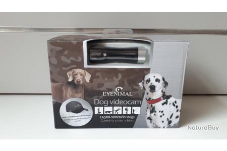 Caméra pour chien Eyenimal Dog Videocam