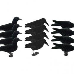 Pack attelage corbeau 2.0