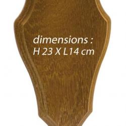 Ecusson pour trophée chevreuil dim. H. 23 x L. 14 cm 