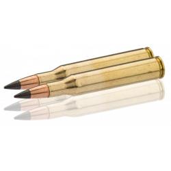 Munition grande chasse Winchester Cal. 270 win Balle Power Point-BW2706