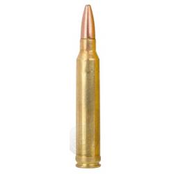 Munition de grande chasse Remington Cal. 300 Win .300 Win Mag 180 Grs-BR3002