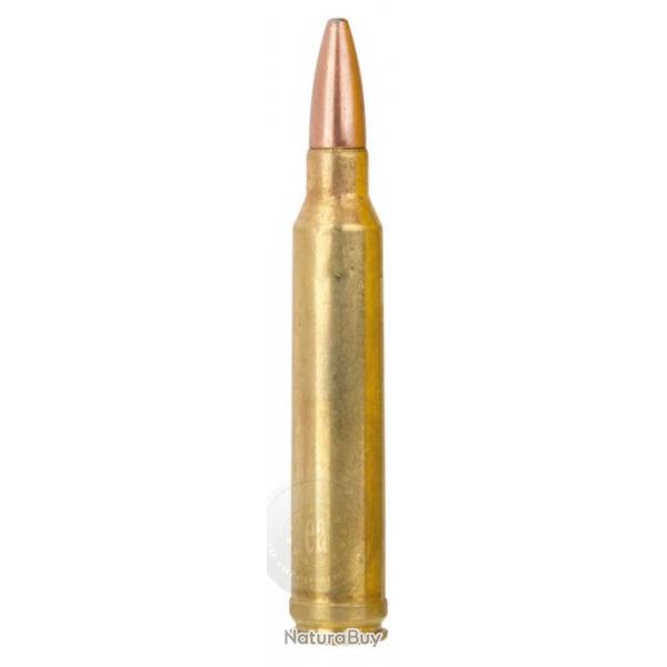 Munition de grande chasse Remington Cal. 300 Win .300 Win Mag 180 Grs-BR3002